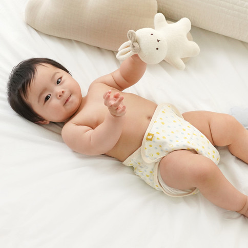 Bamboo Waterproof All-in-One Cloth Diaper